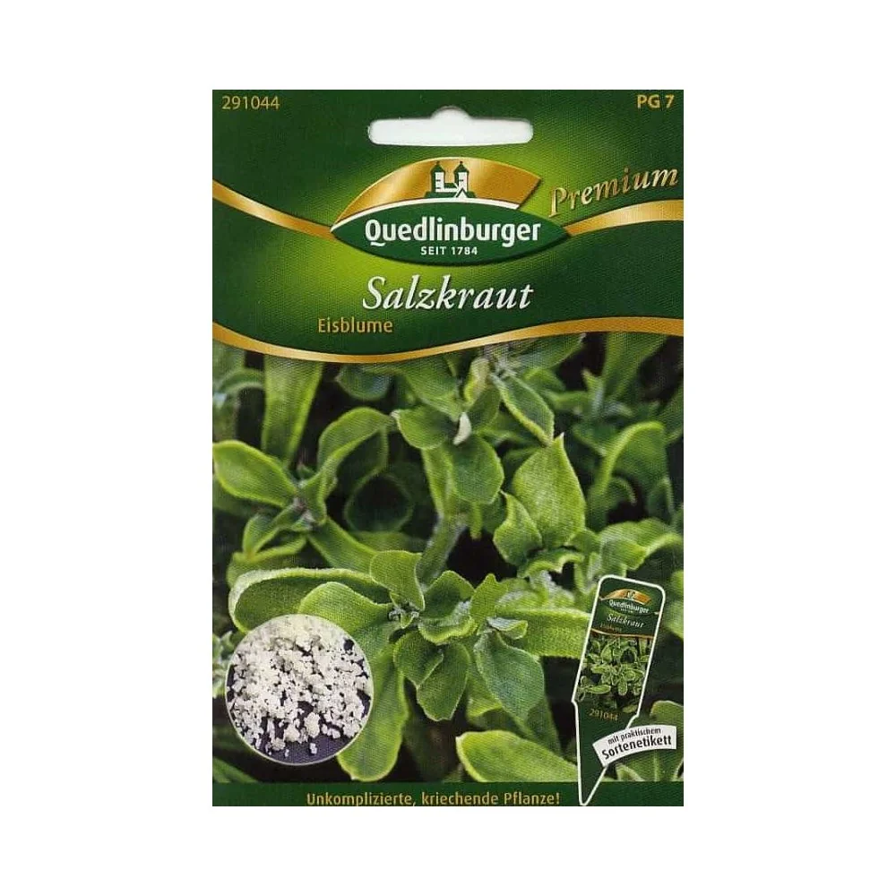 "Síolta Sailchuach & Planda, Bláth Oighir Inite image"