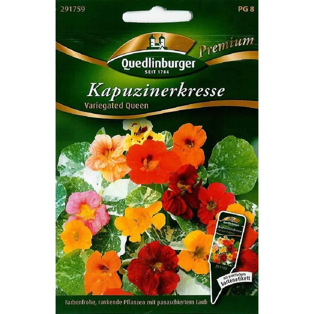 "Síolta Lus na bhFrancach Variegated Queen, Planda Dreapadóireachta Inite ó Boni-Shop image"