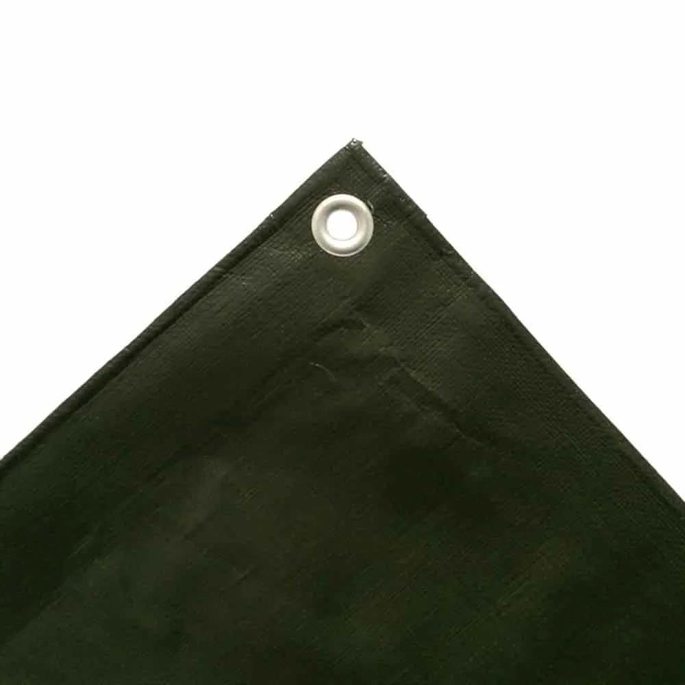 "Clúdach Tarpaulin Uiscedhíonach 10x12m, Glas, 210g/m² image"
