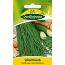 Síobhas Ilbhliantúil a Cheannach: Úr, Aromatach & Éasca le Fás