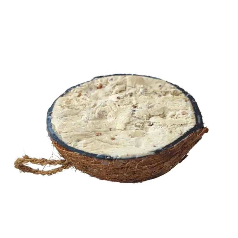 "Fothaire éan fiáin, Bia éan, Cnó cócó d'éin, Peanut d'éin, Leath cnó cócó 1/2 image"