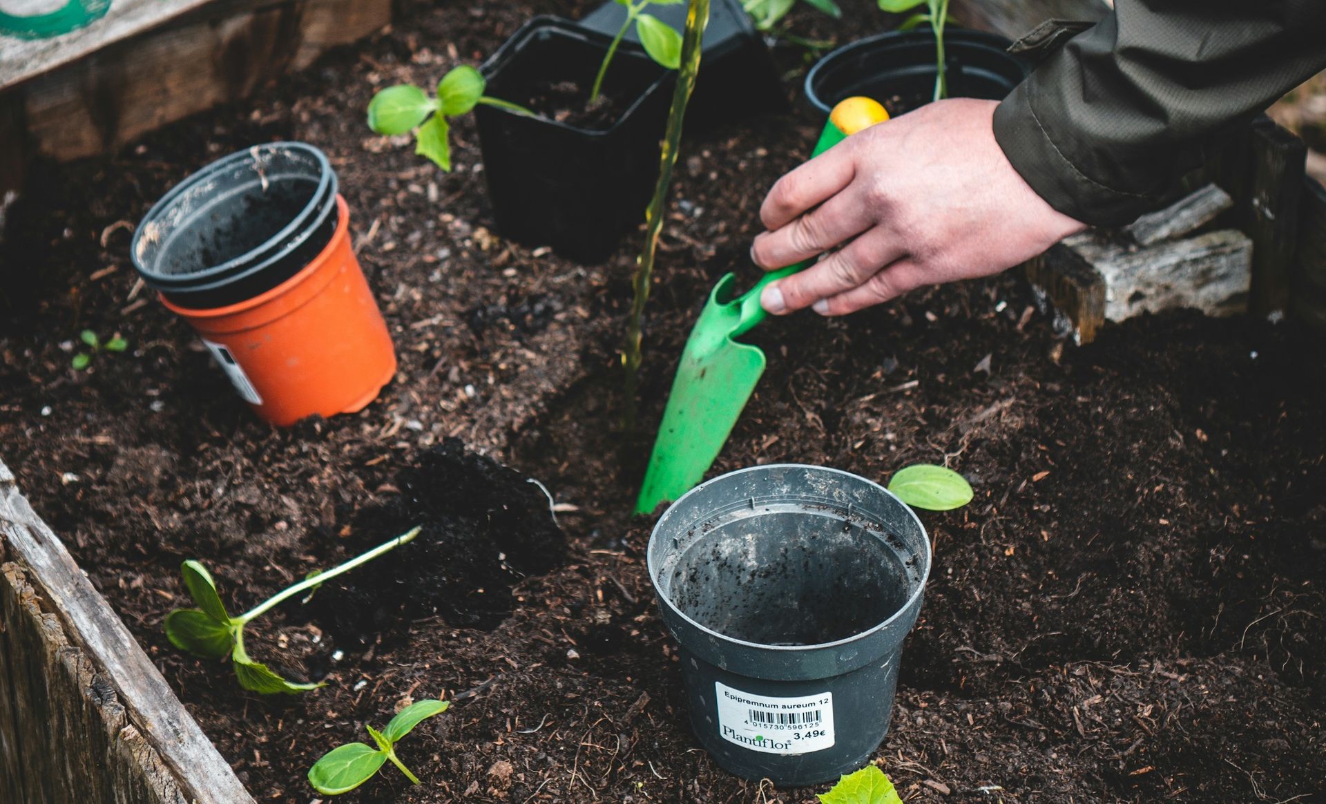 Leasú orgánach - Conas leasú orgánach a úsáid