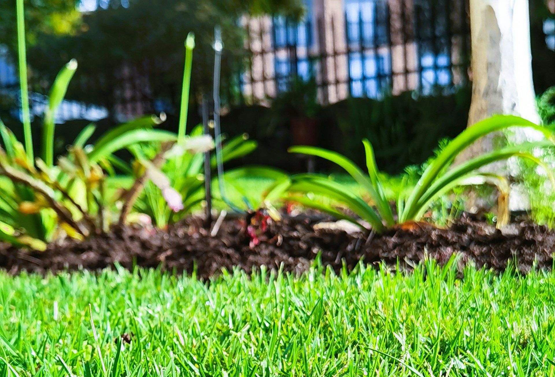 Cúram gairdín nádúrtha