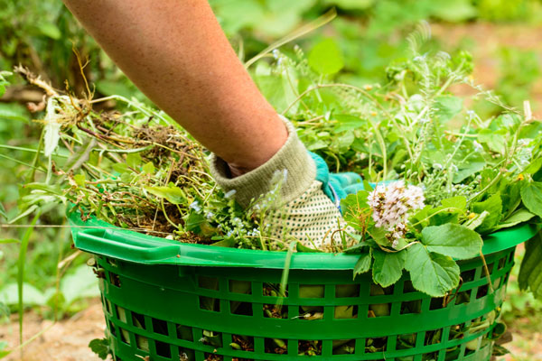 Éadach cosanta fiailí - Boni Shop