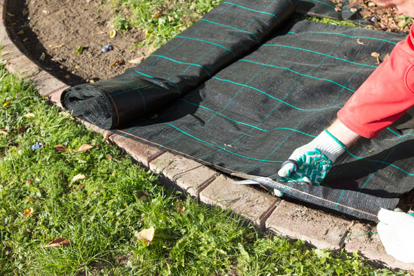 Modhanna rialaithe fiailí orgánacha - Boni Shop