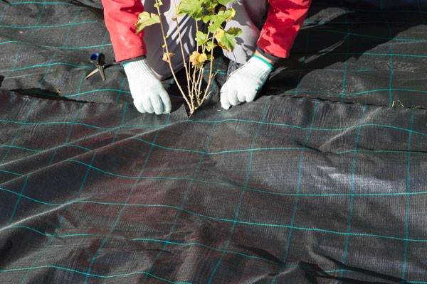 Conas éadach rialaithe fiailí a leagan - Boni Shop