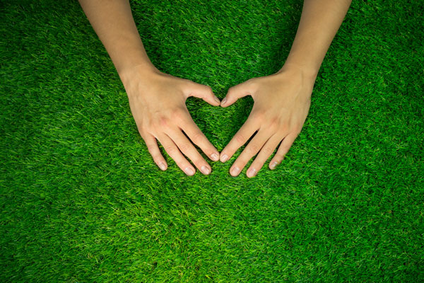 Faiche glas a fháil