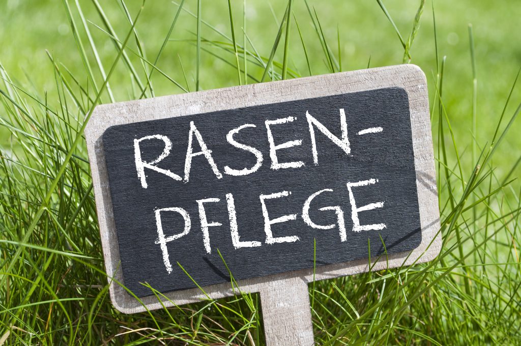 Conas féar a leasú agus aire a thabhairt don lawn