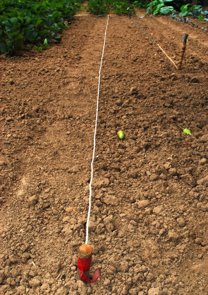 Leagan amach an ghairdín